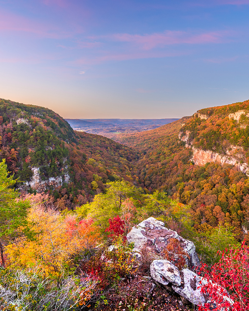 Dr. Noffsinger-Frazier is a psychologist based in Sewanee, Tennessee