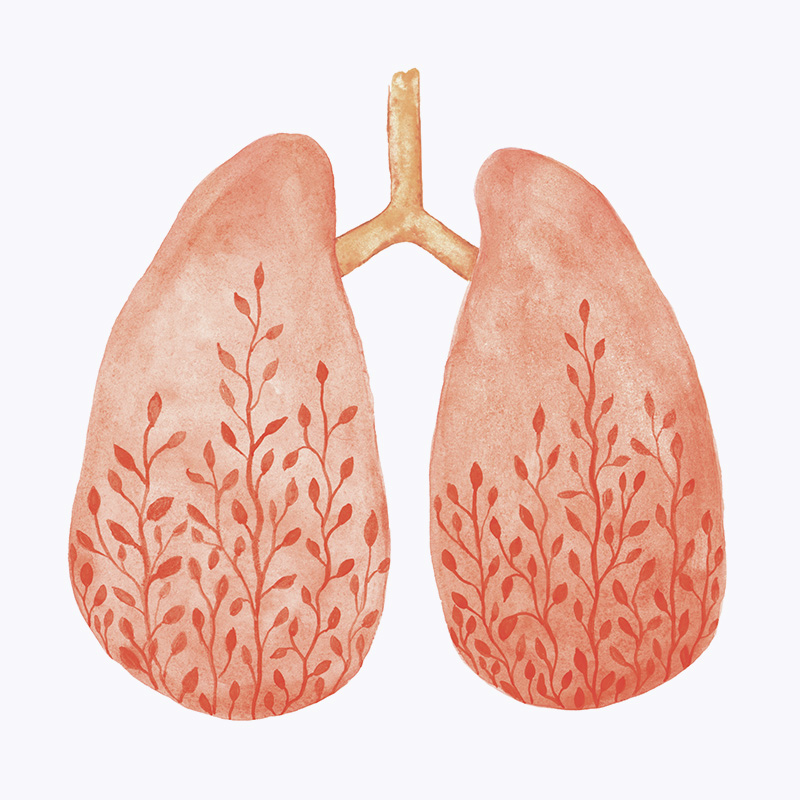 Watercolor lungs representing biofeedback services in Sewanee, TN